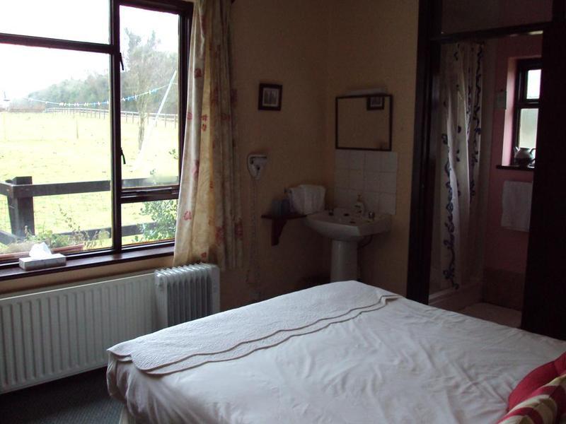 Ferienwohnung Belmont House Waterford Exterior foto
